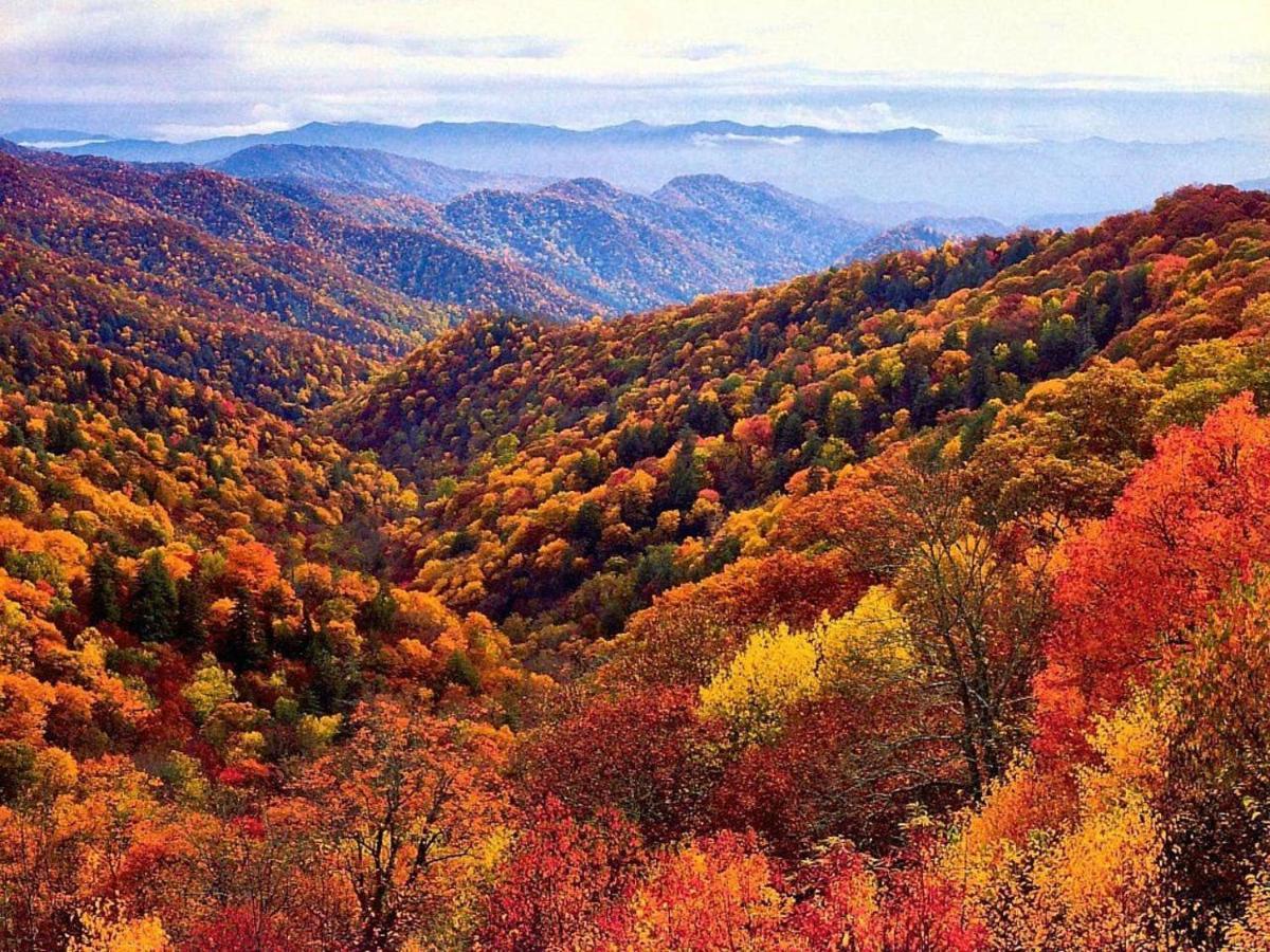 Sky High Views!!-Peak Mountaintop-Outdoor Pool-Close To Downtown-Private Balcony-Wifi-Cable Gatlinburg Esterno foto